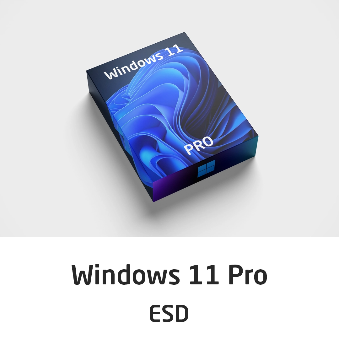 Microsoft Windows 11 Pro OEM
